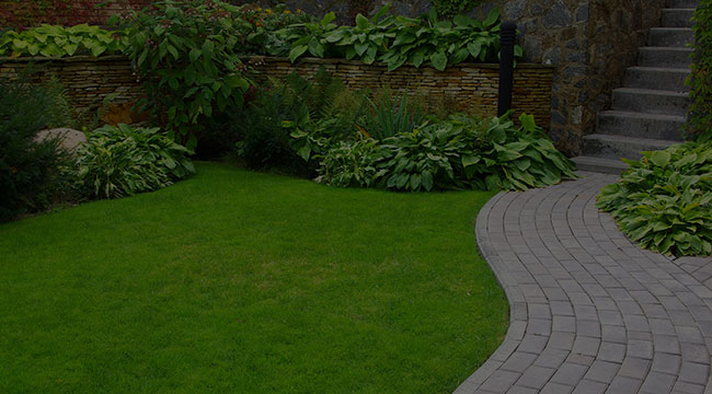 Gloster Garden Design